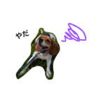 ビーグル犬みんと（個別スタンプ：7）