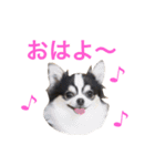 るな＆アラス（個別スタンプ：1）