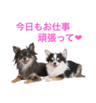 るな＆アラス（個別スタンプ：4）