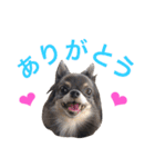 るな＆アラス（個別スタンプ：9）