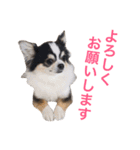 るな＆アラス（個別スタンプ：10）