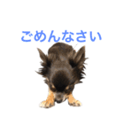 るな＆アラス（個別スタンプ：14）