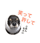 るな＆アラス（個別スタンプ：15）