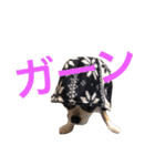 るな＆アラス（個別スタンプ：16）