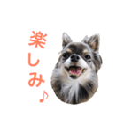 るな＆アラス（個別スタンプ：21）