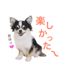 るな＆アラス（個別スタンプ：22）