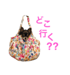 るな＆アラス（個別スタンプ：27）