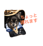るな＆アラス（個別スタンプ：30）