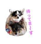 るな＆アラス（個別スタンプ：31）