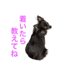 るな＆アラス（個別スタンプ：32）