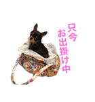 るな＆アラス（個別スタンプ：33）