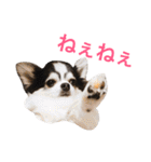 るな＆アラス（個別スタンプ：35）