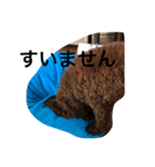 こてさん（個別スタンプ：2）