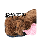 こてさん（個別スタンプ：8）