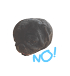 Nusuktheblackpug1（個別スタンプ：8）
