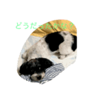 syouta！（個別スタンプ：1）