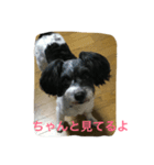 syouta！（個別スタンプ：3）