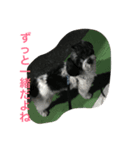 syouta！（個別スタンプ：6）