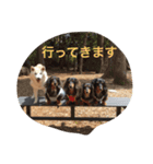 HANASUN（個別スタンプ：4）