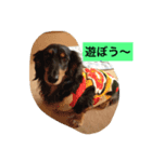 HANASUN（個別スタンプ：8）
