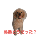 penpenta（個別スタンプ：6）