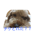 penpenta（個別スタンプ：7）