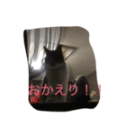 my cat miu（個別スタンプ：3）