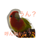 タラテツ日和（個別スタンプ：5）