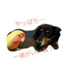 タラテツ日和（個別スタンプ：7）