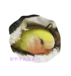 タラテツ日和（個別スタンプ：8）