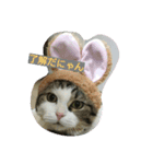 海とタイガ（個別スタンプ：4）