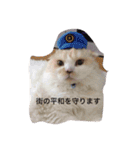 にゃんこっずpart2（個別スタンプ：13）