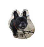 武蔵 日常会話（個別スタンプ：3）