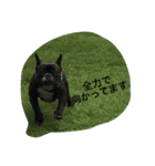 武蔵 日常会話（個別スタンプ：6）