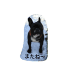 武蔵 日常会話（個別スタンプ：14）