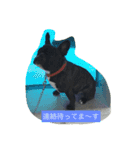 武蔵 日常会話（個別スタンプ：16）