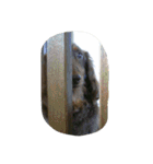 ダックス デイズ（個別スタンプ：13）