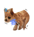 愛犬ラムちゃん（個別スタンプ：2）