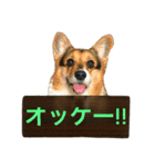 おばあちゃんコーギー  太巻き‼︎（個別スタンプ：22）