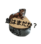 そらちゃんの気持（個別スタンプ：4）