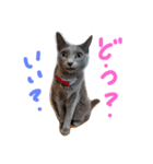 fu ＆ an（個別スタンプ：8）