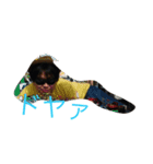 過程＋おまけ（個別スタンプ：3）