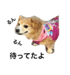るんちゃんの日常言葉3（個別スタンプ：4）