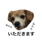 るんちゃんの日常言葉3（個別スタンプ：10）