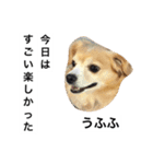 るんちゃんの日常言葉3（個別スタンプ：11）