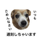 るんちゃんの日常言葉3（個別スタンプ：13）