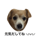 るんちゃんの日常言葉3（個別スタンプ：18）