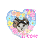 Happy protection cat's（個別スタンプ：9）