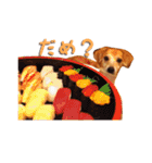 maruguchipusan2（個別スタンプ：22）
