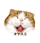 音スタンプ（個別スタンプ：5）
